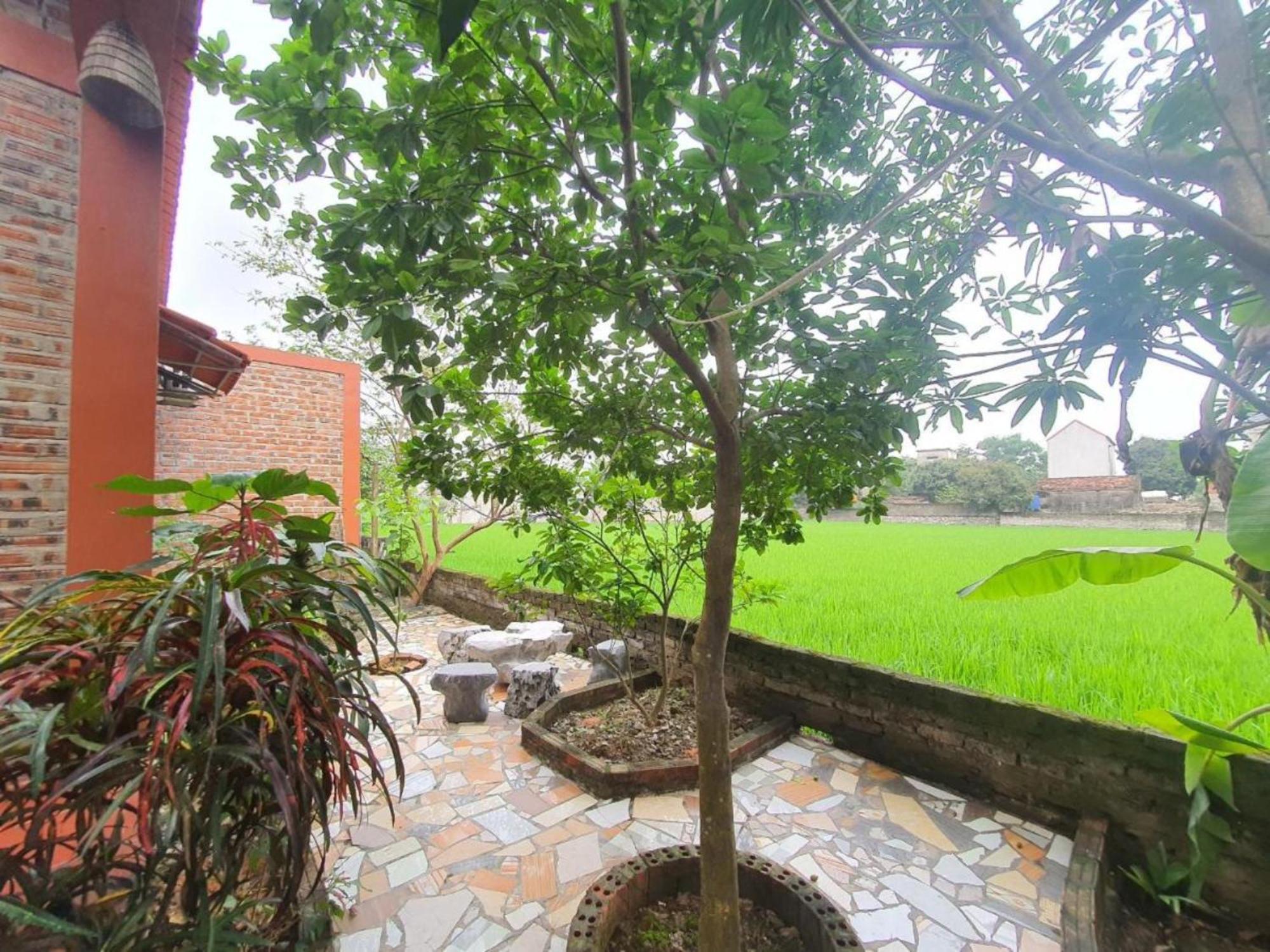 Trang An Garden Bungalow 宁平 外观 照片